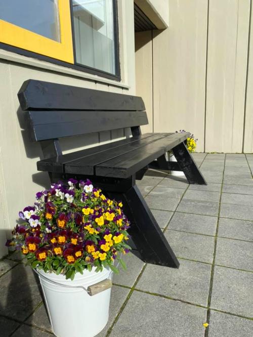 Bekkur með baki + Viðarvörn 